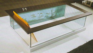 Badev�relser, Badekar