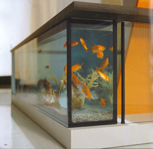 Badev�relser, Badekar