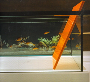 Badev�relser, Badekar