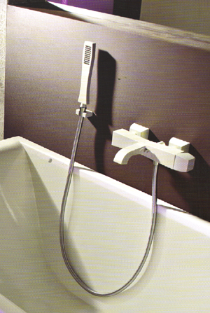 Torneiras, Sanitários