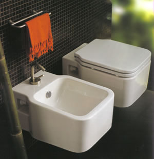 Sanitários Simas Flow