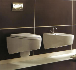 Sanitários Vitruvit Moby